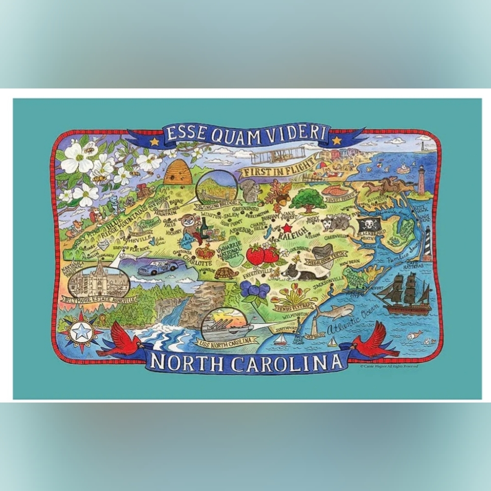 New with tags.  NORTH CAROLINA TEA TOWEL poster style tea towel. KAY DEE DESIGNS